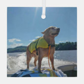 Special Order Carol B Golden Retriever  ガラスオーナメント (裏面)