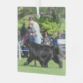 Special Order for Carol B Christmas Glass Ornament ガラスオーナメント (正面左)