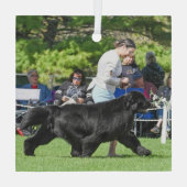 Special Order for Carol B Christmas Glass Ornament ガラスオーナメント (裏面)