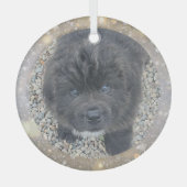 Special Order Gray Puppy Glass Ornament ガラスオーナメント (正面)