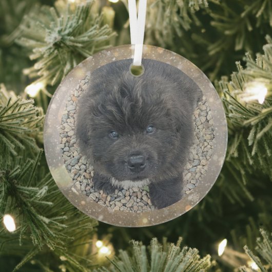 Special Order Gray Puppy Glass Ornament ガラスオーナメント (インサイチュ)