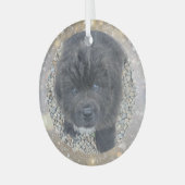 Special Order Gray Puppy Glass Ornament ガラスオーナメント (正面左)