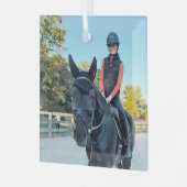 Special Order Horse Glass ornament ガラスオーナメント (正面左)