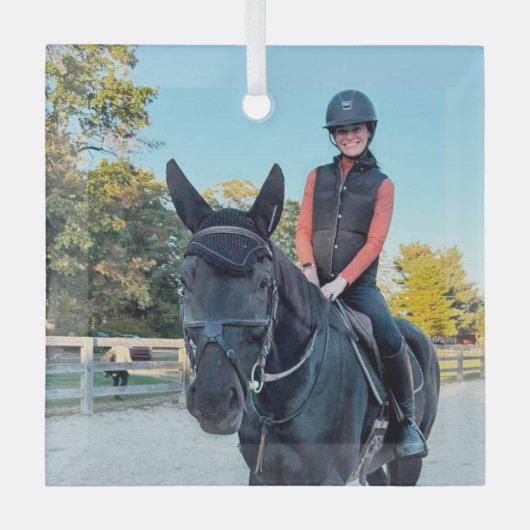 Special Order Horse Glass ornament ガラスオーナメント (正面)