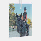 Special Order Horse Glass ornament ガラスオーナメント (正面右)