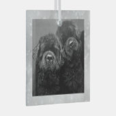 Special Order Two Newfs Glass Ornament ガラスオーナメント (正面右)