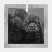 Special Order Two Newfs Glass Ornament ガラスオーナメント (裏面)