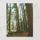 Speck事件 チラシ (裏面)