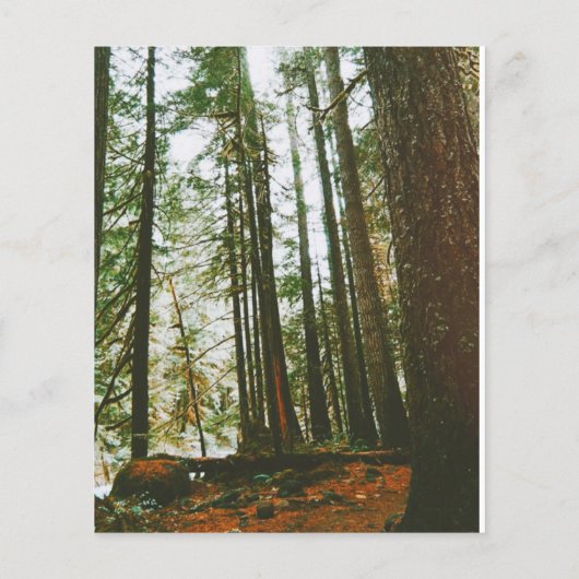 Speck事件 チラシ (裏面)