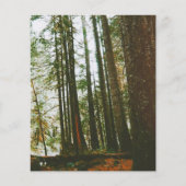 Speck事件 チラシ (正面)