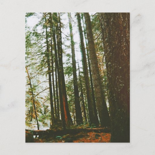 Speck事件 チラシ (正面)