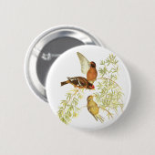 Spectacledフィンチ 缶バッジ (正面&裏面)