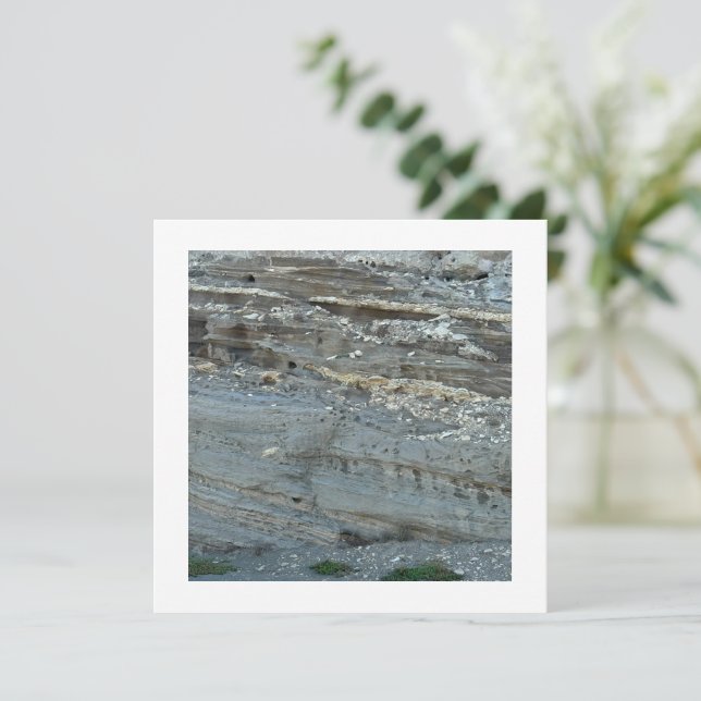  Spectacular Rock Formation, (スタンド正面)