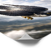Speed of the Sky – Peregrine Falcon in Descent ポスター (角)