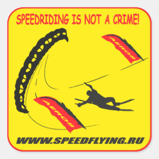 speedriding speedflying スクエアシール
