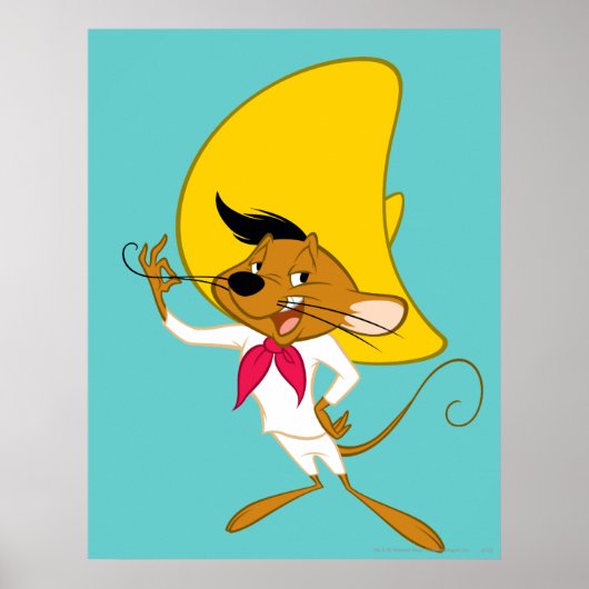 SPEEDY GONZALES™ Mustache ポスター (正面)