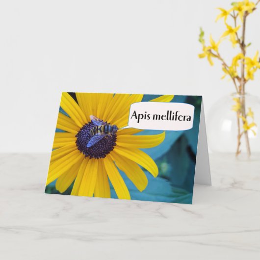 Spelling Beeの受賞おめでとうございます カード (黄色い花)