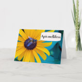 Spelling Beeの受賞おめでとうございます カード (正面)