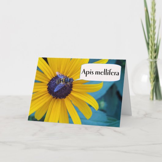 Spelling Beeの受賞おめでとうございます カード (正面)