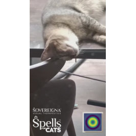 Spells for Cats: Calm Kitty (Calming) シール