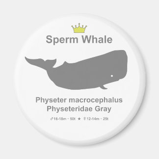 Sperm Whale g5 マグネット