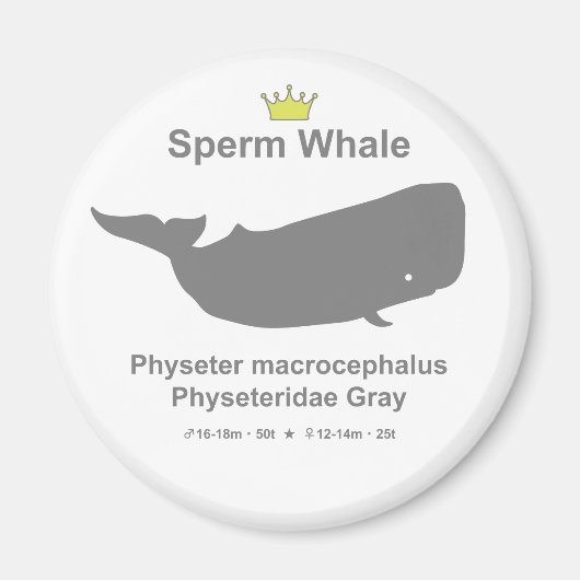 Sperm Whale g5 マグネット (正面)