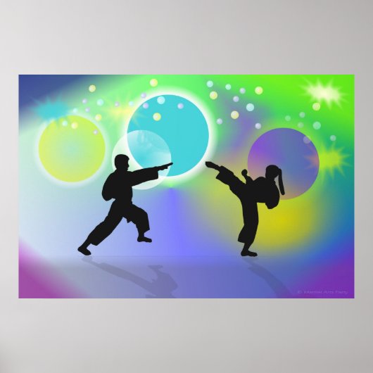 Spheres of Martial Arts poster ポスター (正面)