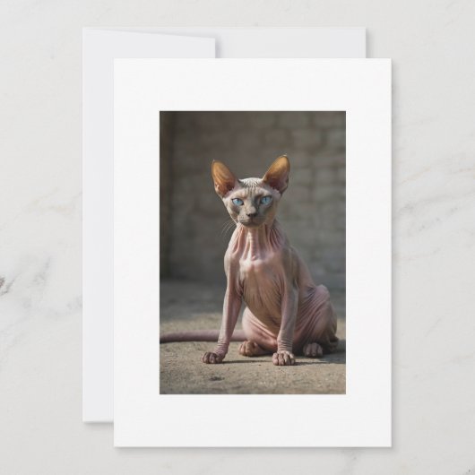 sphinx cat 招待状 (正面)