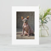 sphinx cat 招待状 (スタンド正面)