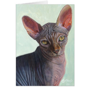 Sphynxのスフィンクス猫猫Sunitha