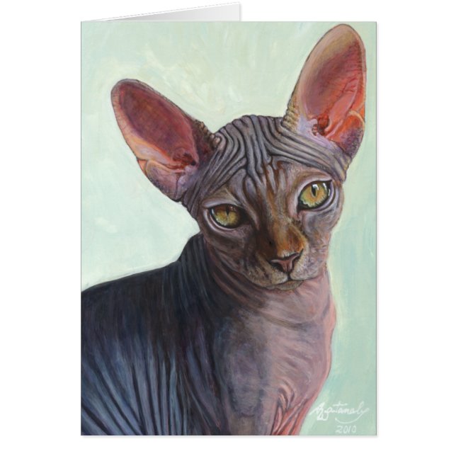 Sphynxのスフィンクス猫猫Sunitha (正面)