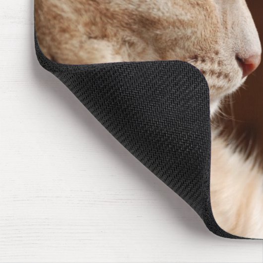 Sphynxの伝説 マウスパッド (コーナー)