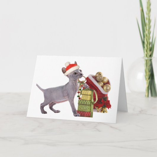 Sphynxの子ネコChristmasCards シーズンカード (正面)