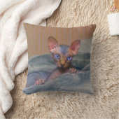 Sphynxの少し灰色の子ネコ クッション (ブランケット)