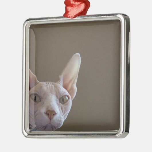 Sphynxの毛のない猫小型フレームのオーナメント メタルオーナメント (左)