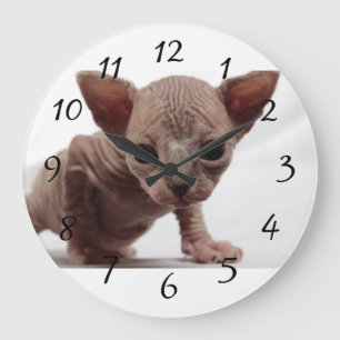 Sphynxの気紛れでかわいいFurless子ネコ ラージ壁時計