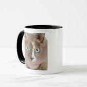 Sphynx猫のスタジオのポートレート マグカップ (正面左)