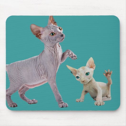 Sphynx猫のマウスパッド マウスパッド (正面)