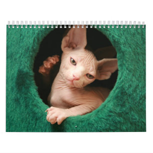 Sphynx猫の壁掛けカレンダー GoSphynx.com カレンダー