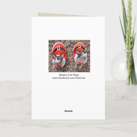 Sphynx猫の忍者のサンタのクリスマス カード (裏面)