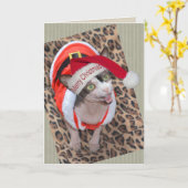 Sphynx猫の忍者のサンタのクリスマス カード (黄色い花)