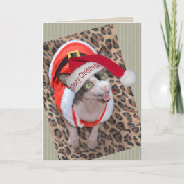 Sphynx猫の忍者のサンタのクリスマス カード