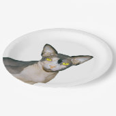 Sphynx猫の忍者のレックス猫猫のパーティーの白 ペーパープレート (アングル)