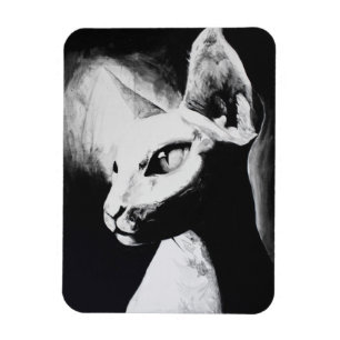 Sphynx猫の毛のない子猫ペット白黒の芸術 マグネット