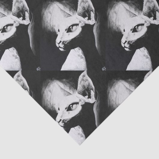 Sphynx猫の毛のない子猫ペット白黒の芸術 薄葉紙 (詳細)