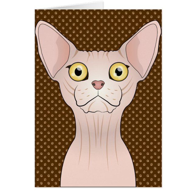 Sphynx猫の漫画の足 (正面)
