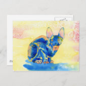 Sphynx猫はがき ポストカード (正面/裏面)