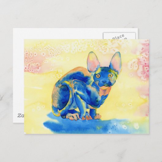 Sphynx猫はがき ポストカード (正面/裏面)