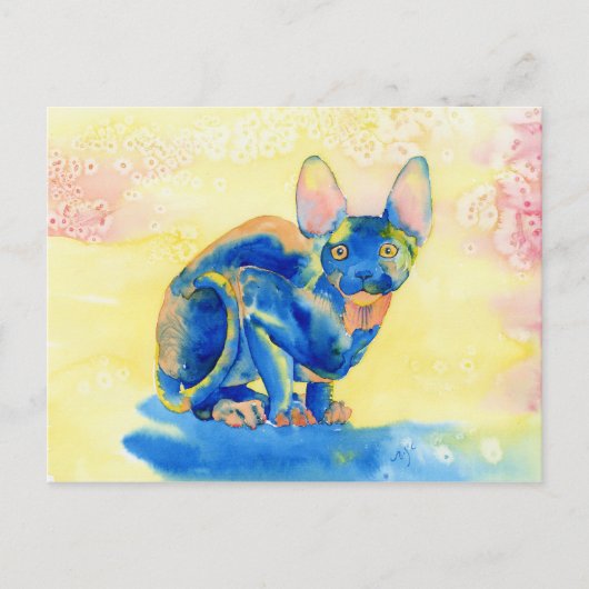 Sphynx猫はがき ポストカード (正面)