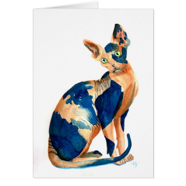 Sphynx猫6 (正面)
